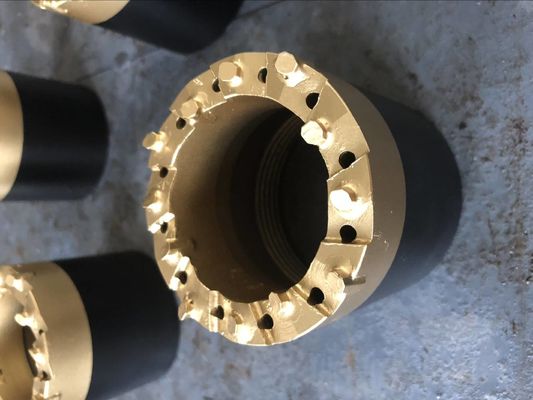Bocado de broca do carboneto de tungstênio PDC da cor de Muti para a indústria mineral da exploração